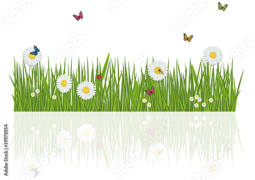 FRISE_HERBE_INSECTE_REFLET