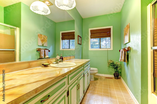 Tablou pe pânză Green outdated bathroom interior.