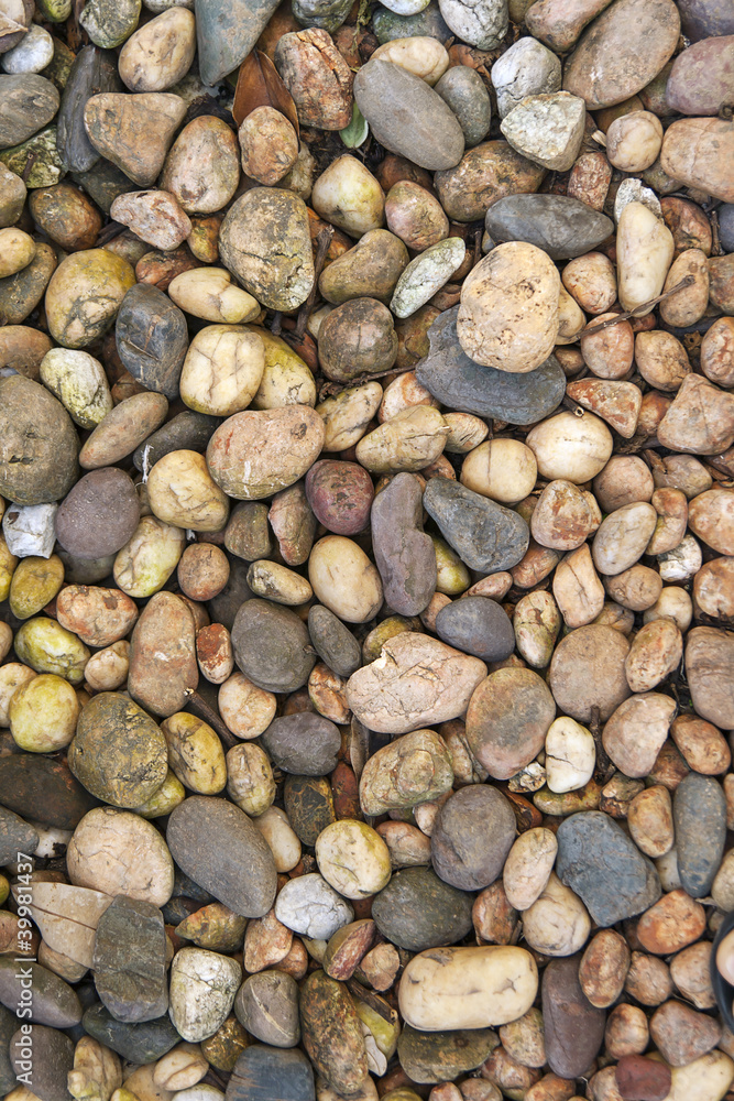 Stones of different colors With moss . Stones of different colors With moss .