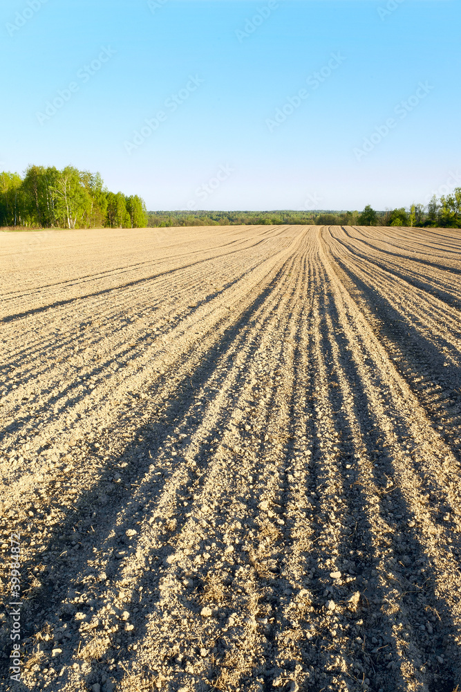 Spring evening in the Central Russia. Arable land and woods Spring evening in the Central Russia. Arable land and woods