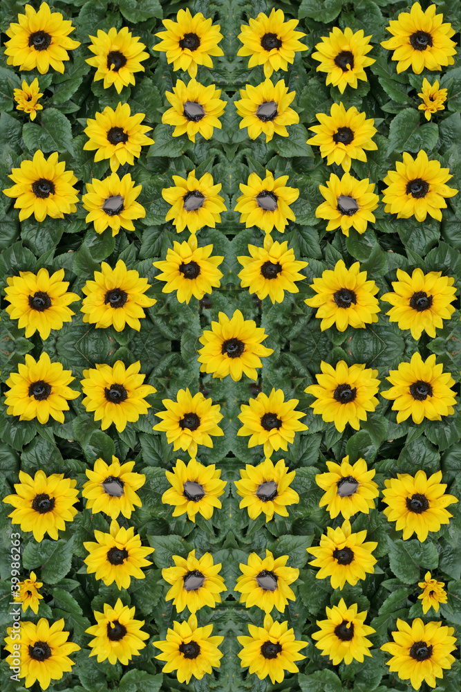 Pattern di fiori gialli Pattern di fiori gialli