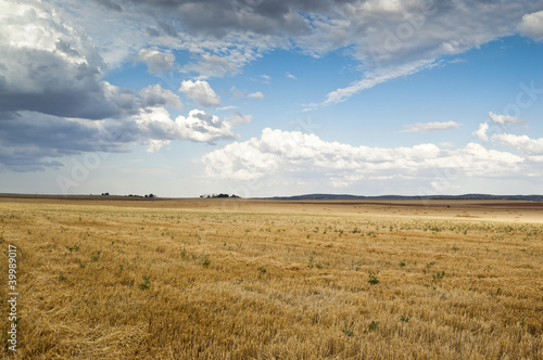 Stubble field in an agricultural landscape
