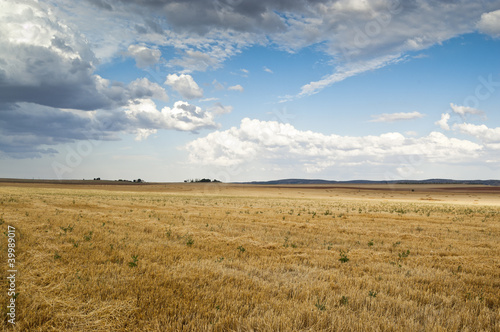 Stubble field in an agricultural landscape photo