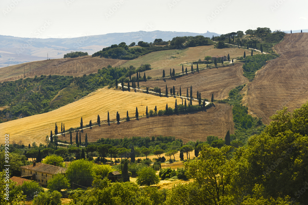 Famous winding road in Val d'Orcia