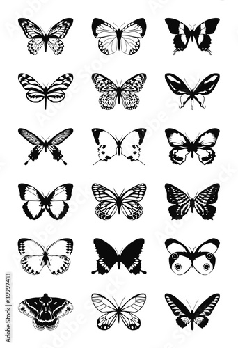 Tapety artystyczne Butterfly