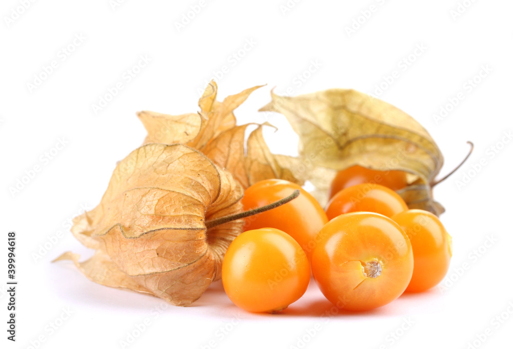 Physalis heap isolated on white Physalis heap isolated on white