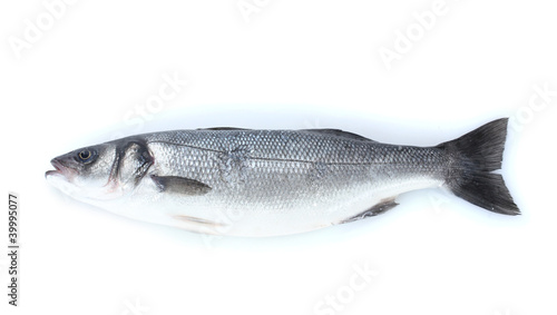 Fresh fish isolated on white