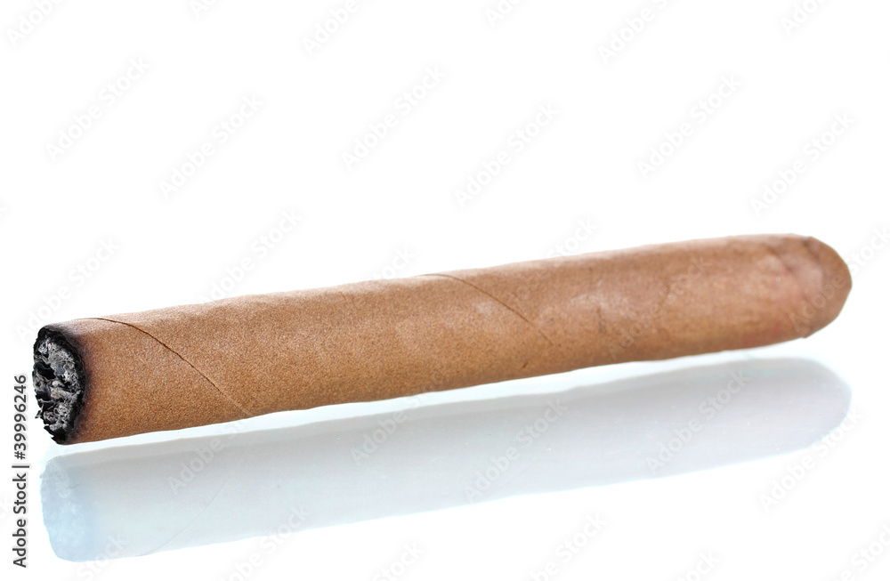 cigar isolated on white cigar isolated on white