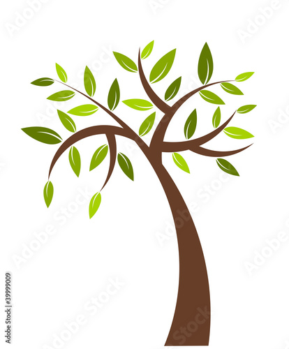 Tree illustration