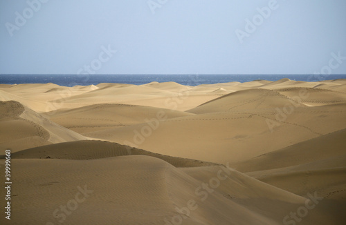 Paseo por las dunas