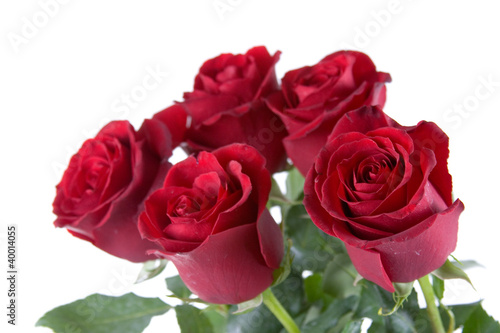 Bouquet of red roses © Elena Blokhina