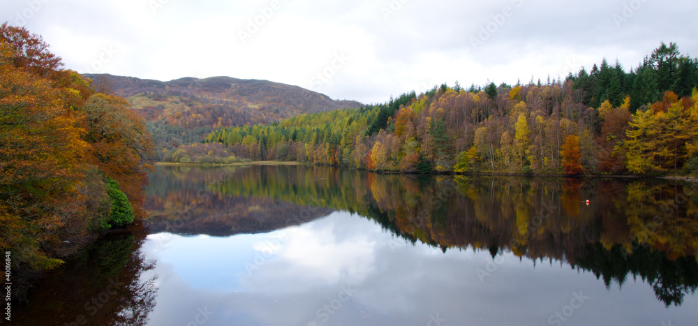 Naklejka premium Autumn colours at Killiecrankie