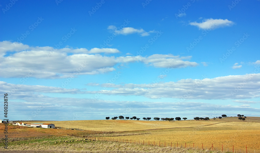 Obraz premium Landscape of alentejo farm, south of Portugal.