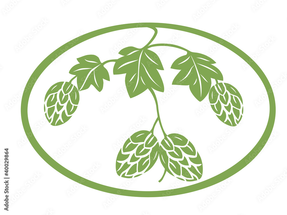 Hop plant stylized Hop plant stylized