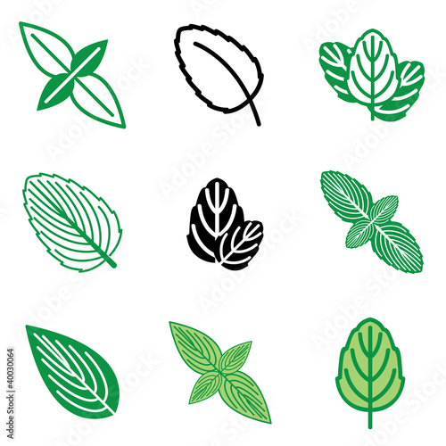 mint icons vector set