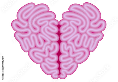 heart brain, vector