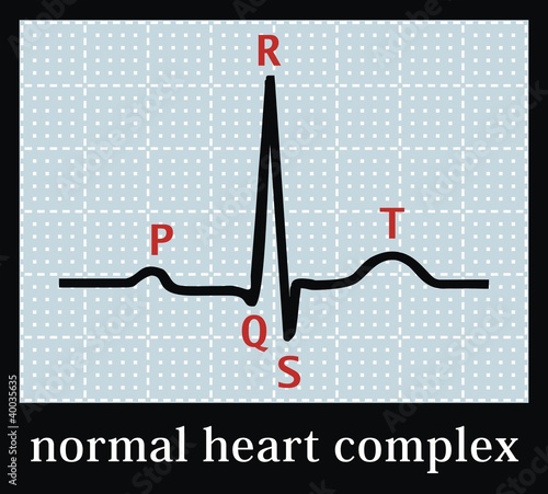 Normal heart set on electrocardiogram. Professional information.