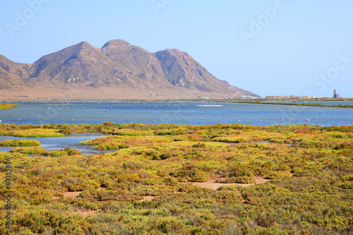 Andalusia, landscape. Salt flats, flamingos, Parque Cabo de Gata