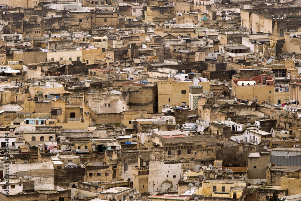 Roofs of the historic city of Fes - detail