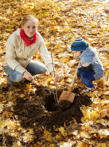 woman with  son planting  tree in autumn photo