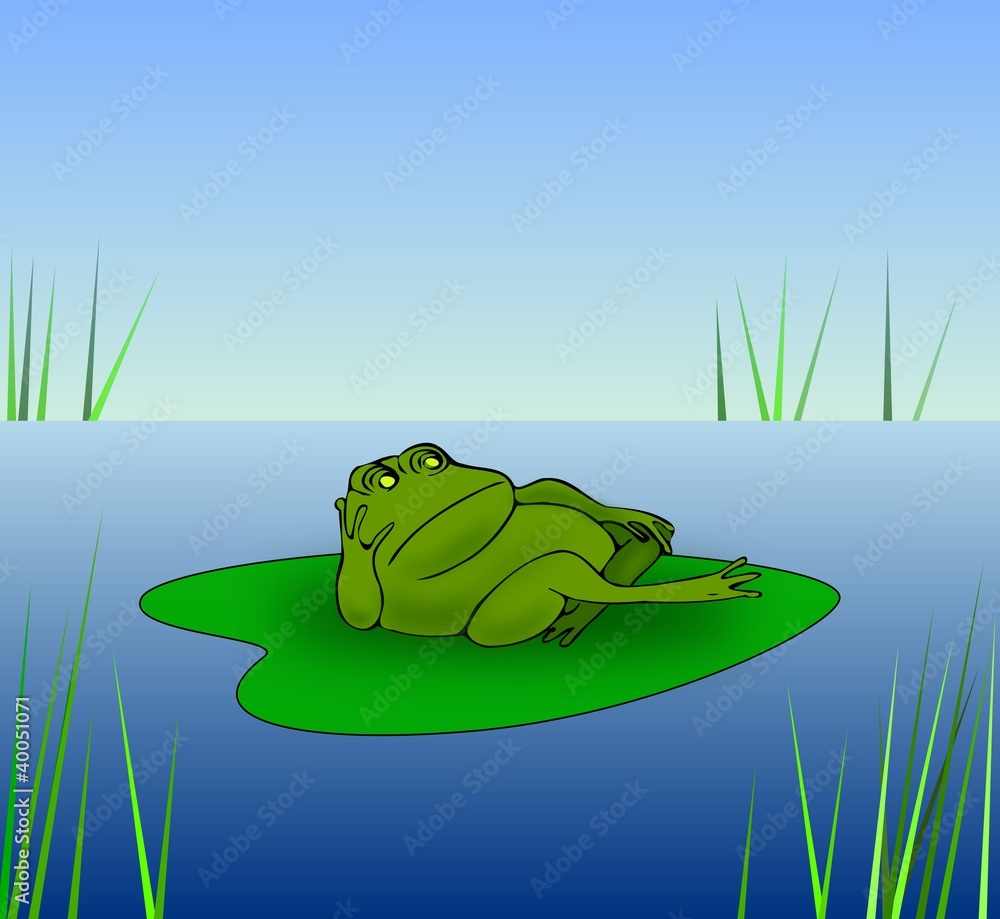 Fototapeta premium Grumpy Frog