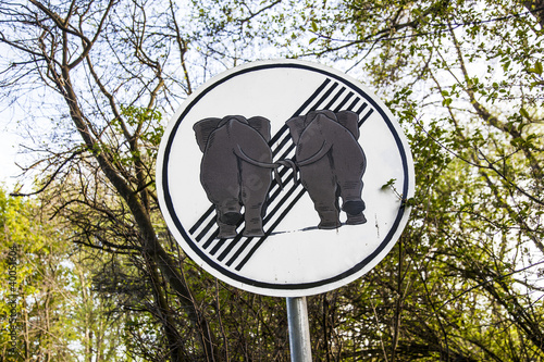 traffic sign elefants in Love