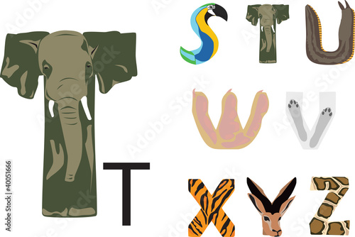 ABC диких животных