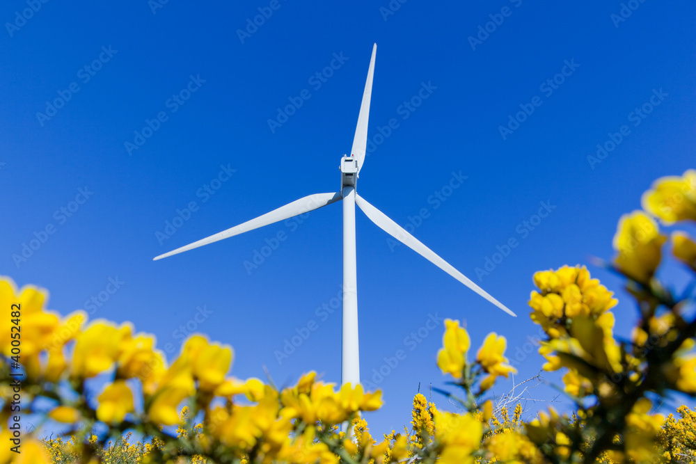 Windmill in the meadow over blue sky