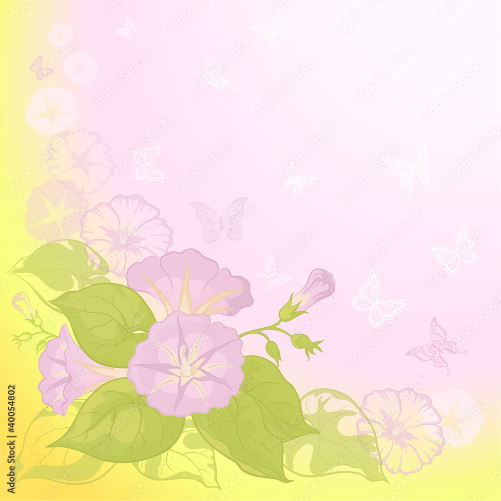 Background with flowers Ipomoea Background with flowers Ipomoea