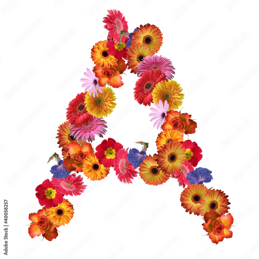 High resolution conceptual flower font isolated High resolution conceptual flower font isolated