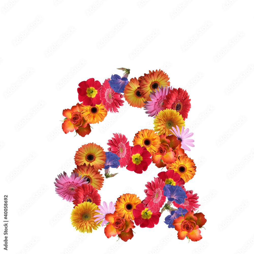 High resolution conceptual flower font isolated High resolution conceptual flower font isolated