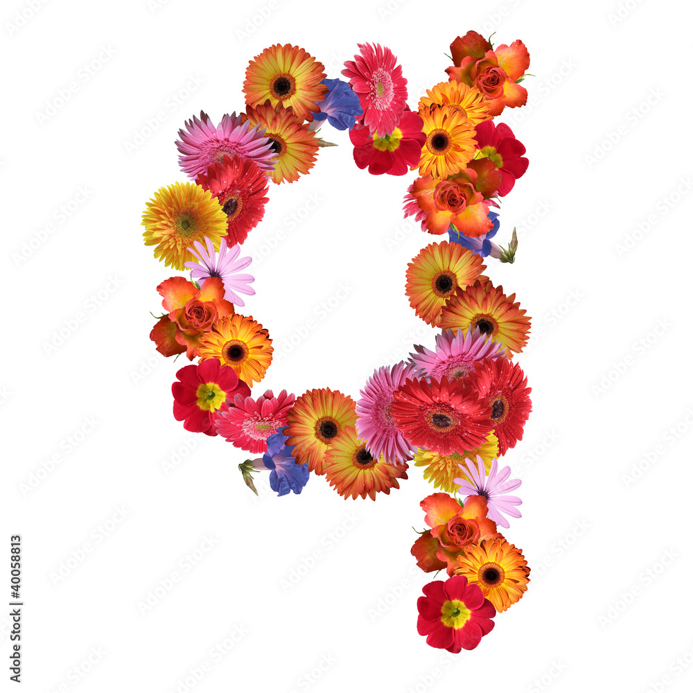 High resolution conceptual flower font isolated High resolution conceptual flower font isolated