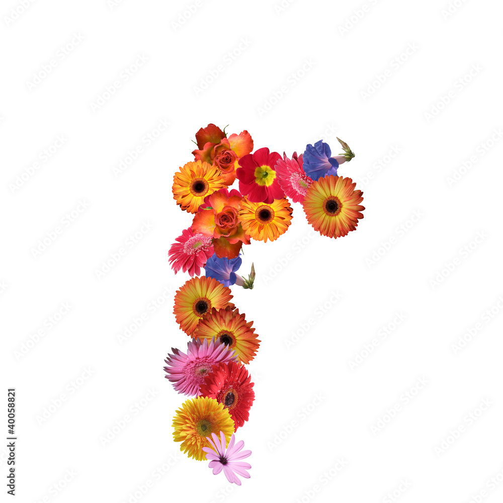 High resolution conceptual flower font isolated High resolution conceptual flower font isolated