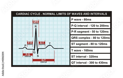 Cardiac cycle and normal levels of intervals and waves