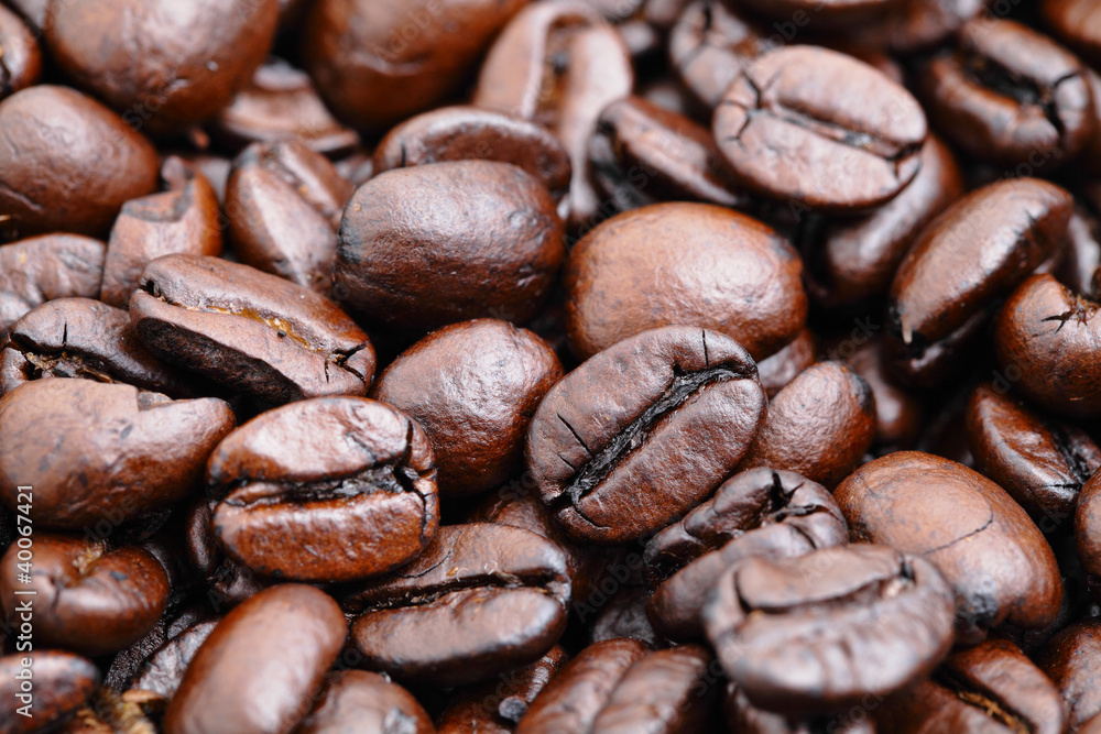 coffee bean background coffee bean background