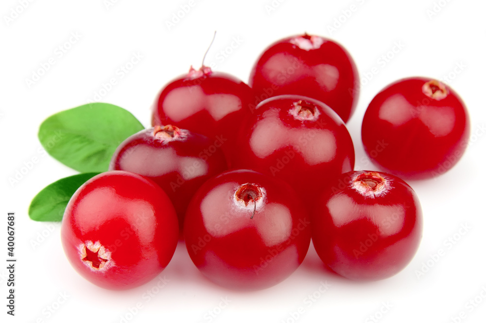 Sweet cranberries with leafs Sweet cranberries with leafs