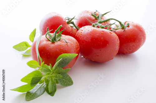 Tomates grappe basilic