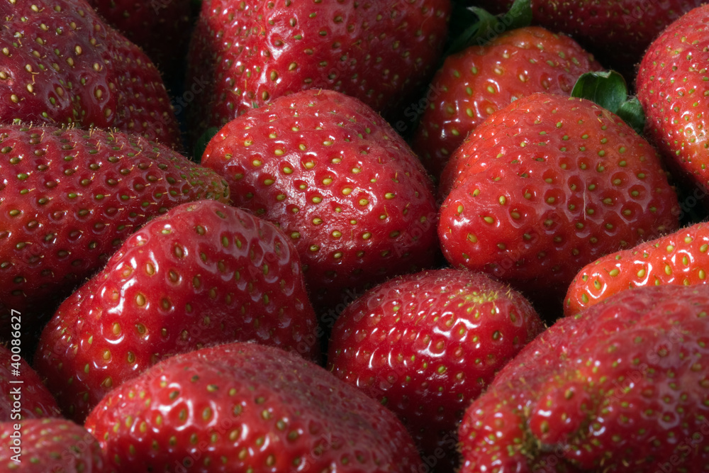 Fragole Fragole