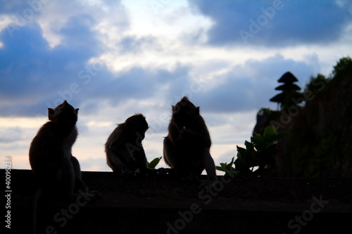 Three sitting monkey silhouette at sunset