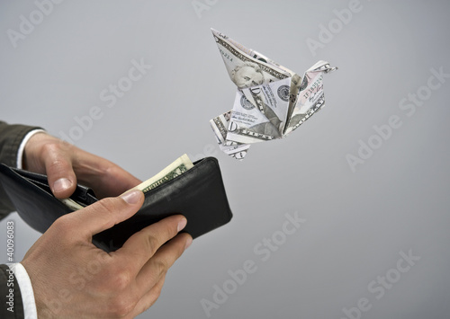 Flying dollar bird