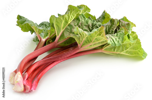 Rhubarb photo