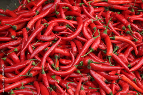 Chili peppers at the market