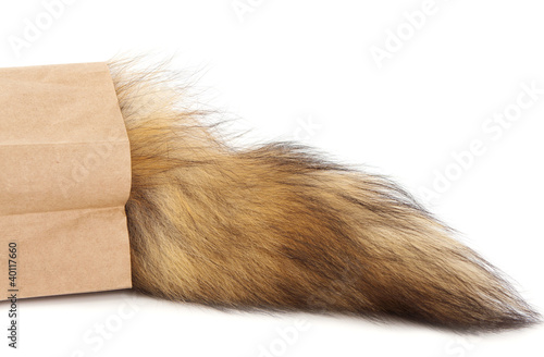 Hairy tail in paper bag