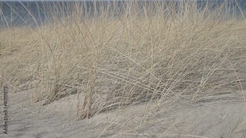 Strand und Meer