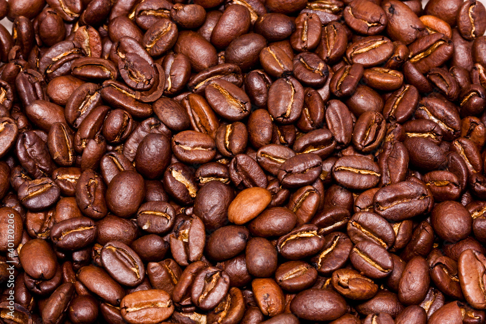 Fototapeta premium Cofee beans
