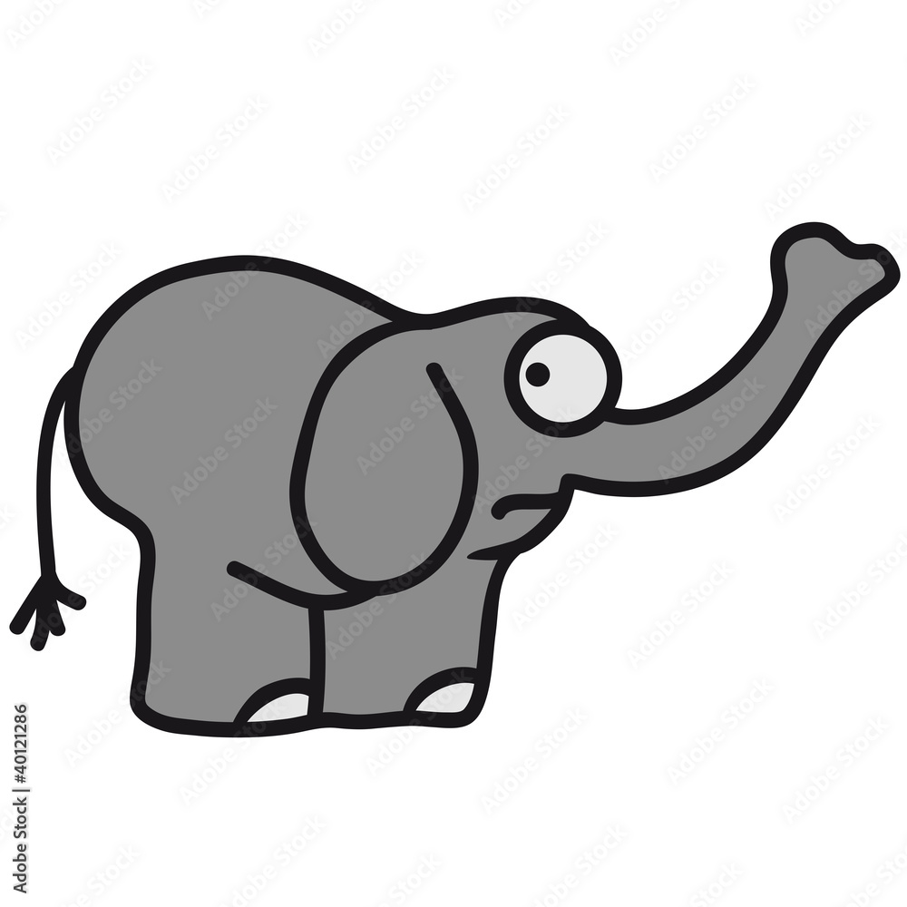 Fototapeta premium elephant