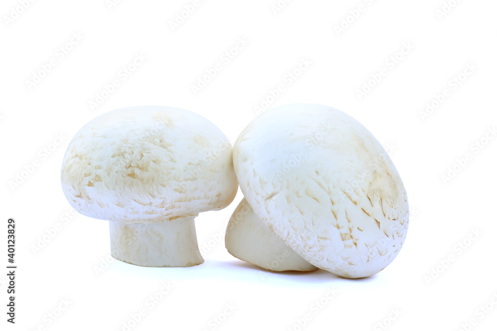 Two button mushrooms isolated on white background, clipping path included Two button mushrooms isolated on white background, clipping path included
