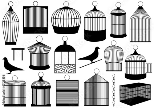 Bird cages
