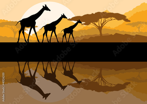Giraffe family silhouettes in Africa