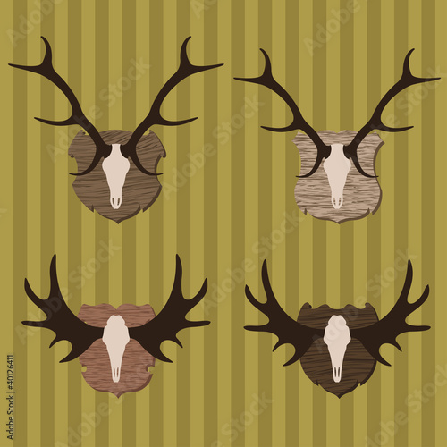 Deer and moose horns hunting trophy illustration collection
